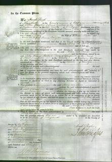 Court of Common Pleas - Mary Martin and Anne Langdon-Original Ancestry