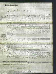 Court of Common Pleas - Margaret Carr-Original Ancestry