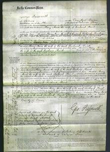 Court of Common Pleas - Mary Anne Hunt-Original Ancestry