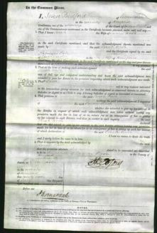 Court of Common Pleas - Sarah Nash-Original Ancestry