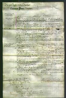 Court of Common Pleas - Eleanor St Barbe Laurie-Original Ancestry