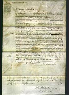 Court of Common Pleas - Mary Lovett-Original Ancestry