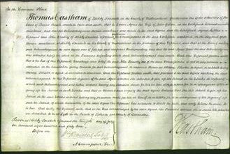 Court of Common Pleas - Agnes Gibson-Original Ancestry