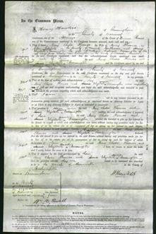 Court of Common Pleas - Mary Rhoda Thomas and Annie Elizabeth Brassington-Original Ancestry