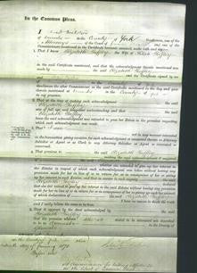 Court of Common Pleas - Elizabeth Tuffley