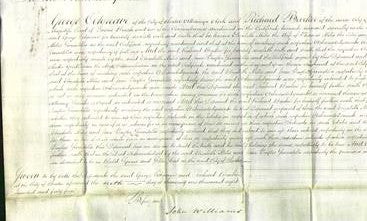 Court of Common Pleas - Elizabeth Miles and Jane Taylor Swindells-Original Ancestry