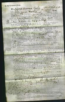 Court of Common Pleas - Lucinda Smith and Jane Matilda Noake-Original Ancestry