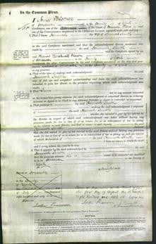 Court of Common Pleas - Hannah Smith-Original Ancestry