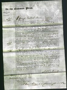 Court of Common Pleas - Sarah Bown King Bishop-Original Ancestry