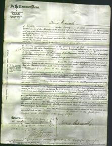 Court of Common Pleas - Sarah Hey-Original Ancestry