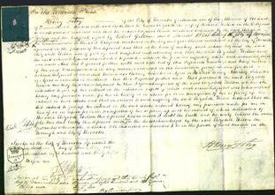 Court of Common Pleas - Elizabeth Wilson-Original Ancestry