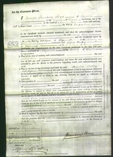 Court of Common Pleas - Sarah Ann Hoar-Original Ancestry