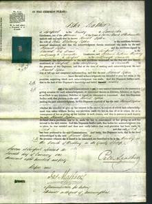 Court of Common Pleas - Harriet Tipton-Original Ancestry
