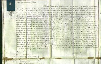 Court of Common Pleas - Rebecca Moseley-Original Ancestry