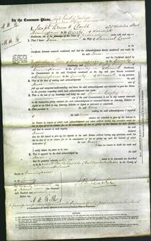 Court of Common Pleas - Ann Lewis-Original Ancestry