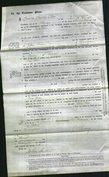 Court of Common Pleas - Mary Anne Scott-Original Ancestry