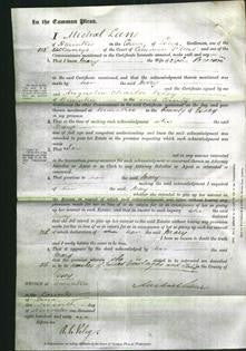 Court of Common Pleas - Mary Brown-Original Ancestry