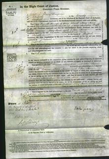 Court of Common Pleas - Frances Church, Mary Anne Bliss and Ellen Anne Pugh-Original Ancestry