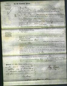 Court of Common Pleas - Eliza Serjeant-Original Ancestry