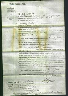 Court of Common Pleas - Rachel Jones-Original Ancestry