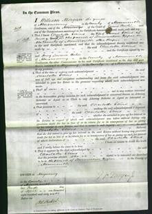 Court of Common Pleas - Charlotte Edins-Original Ancestry