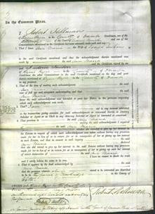 Court of Common Pleas - Ann Maria Jenkins-Original Ancestry