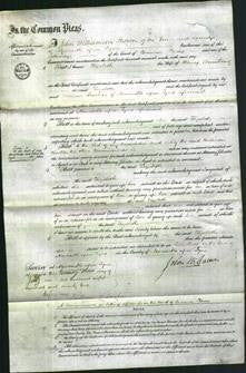 Court of Common Pleas - Elizabeth Armstrong-Original Ancestry