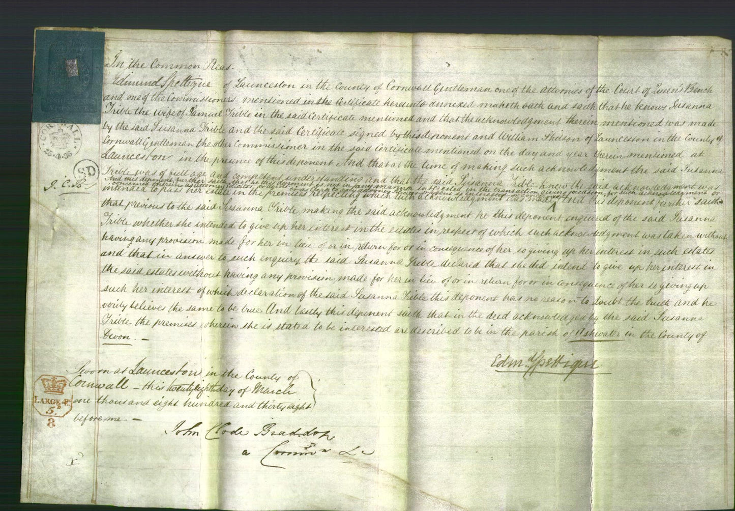 Court of Common Pleas - Susanna Trible