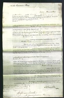 Court of Common Pleas - Mary Martin-Original Ancestry