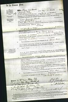 Court of Common Pleas - Helena Anne Maxwell-Original Ancestry