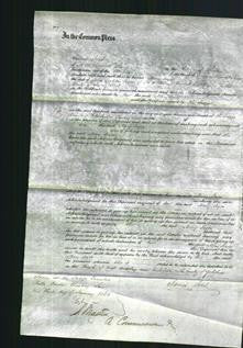 Court of Common Pleas - Mary Joyce-Original Ancestry