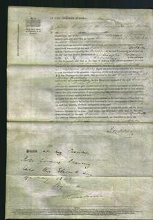 Court of Common Pleas - Frances Emilia Biver Bulkeley-Original Ancestry