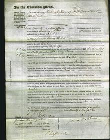 Court of Common Pleas - Cecilia Lewis-Original Ancestry