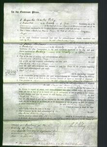 Court of Common Pleas - Isabella Maria Fuge-Original Ancestry