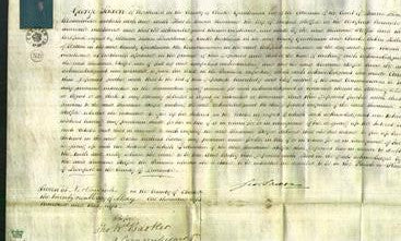 Court of Common Pleas - Susanna Stelfox-Original Ancestry