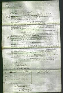 Court of Common Pleas - Sarah Kay-Original Ancestry