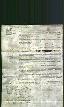 Court of Common Pleas - Eliza Stuart-Original Ancestry