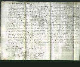 Court of Common Pleas - Sophia Comisell-Original Ancestry