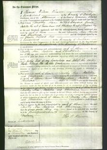 Court of Common Pleas - Dorothy Ann Evans, Isabella Evans and Christiana Levy-Original Ancestry