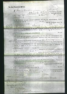 Court of Common Pleas - Ann Meadows-Original Ancestry