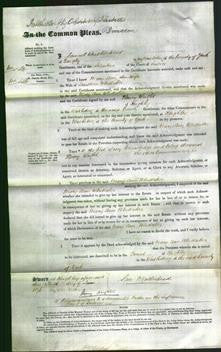 Court of Common Pleas - Mary Ann Whittaker-Original Ancestry