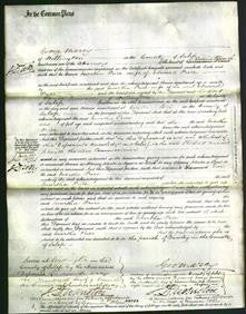 Court of Common Pleas - Martha Price-Original Ancestry