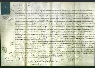 Court of Common Pleas - Catharine Lobley Taylor-Original Ancestry