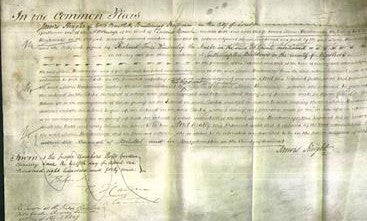 Court of Common Pleas - Maria Braikenridge-Original Ancestry