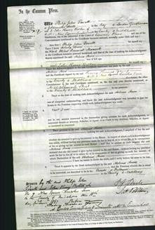 Court of Common Pleas - Helena Anne Maxwell-Original Ancestry