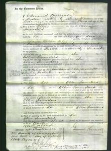 Court of Common Pleas - Ellen Saunders-Original Ancestry