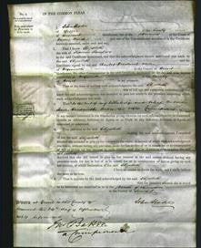 Court of Common Pleas - Elizabeth Dampier-Original Ancestry