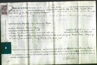 Deed by Married Women - Elizabeth Ann Barnsley Paglar-Original Ancestry
