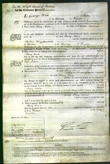 Court of Common Pleas - Mary Anne Ireland-Original Ancestry