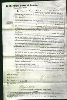 Court of Common Pleas - Eliza Sutton-Original Ancestry